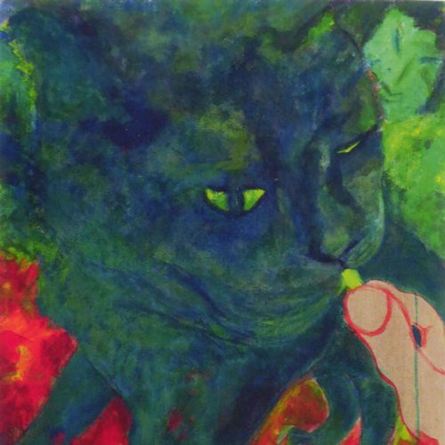 Katze mit gelben Augen 2009